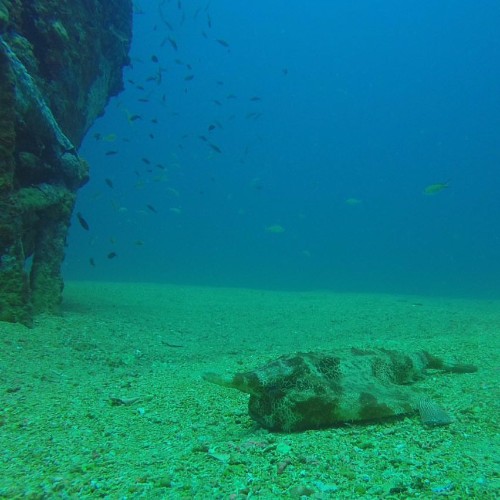 Mergulho com cilindro nos mares de Alagoas 