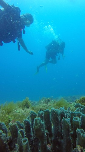 Mergulho com cilindro nos mares de Alagoas 