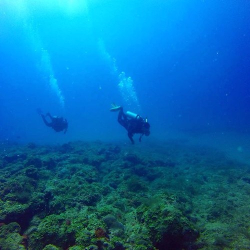 Mergulho com cilindro nos mares de Alagoas 