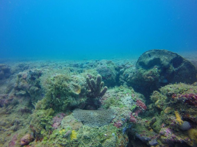 Mergulho com cilindro nos mares de Alagoas 