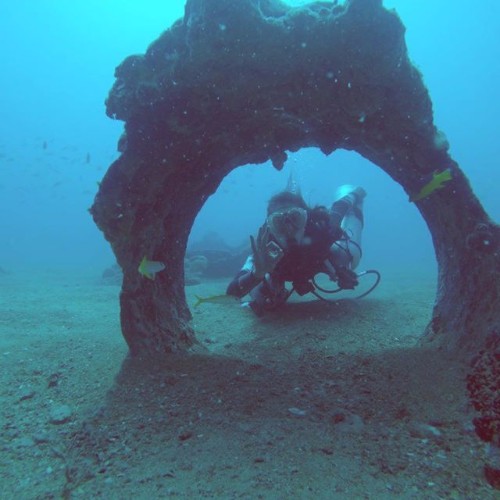 Mergulho com cilindro nos mares de Alagoas 