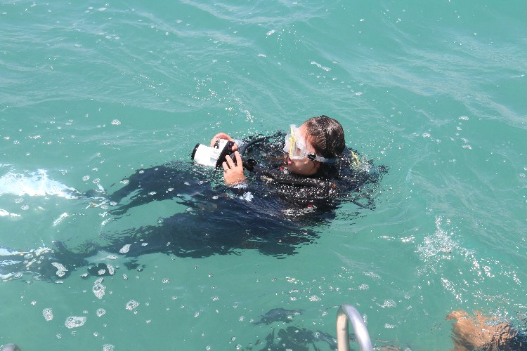 Mergulho com cilindro nos mares de Alagoas 