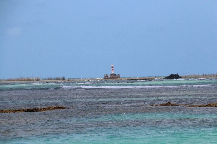 Mergulho com cilindro nos mares de Alagoas 