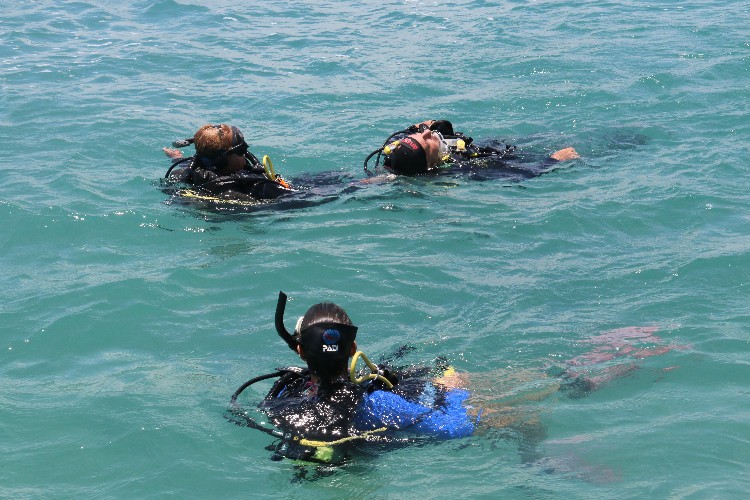 Mergulho com cilindro nos mares de Alagoas 