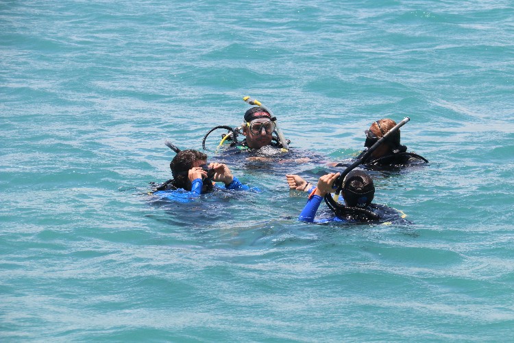 Mergulho com cilindro nos mares de Alagoas 