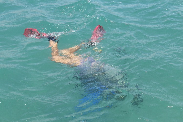 Mergulho com cilindro nos mares de Alagoas 