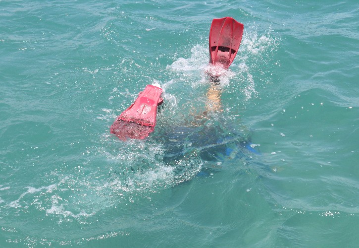 Mergulho com cilindro nos mares de Alagoas 