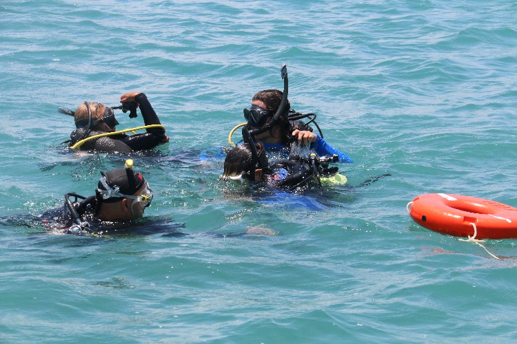 Mergulho com cilindro nos mares de Alagoas 