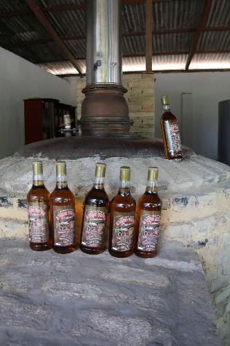 Evangélico de Penedo ganha o mercado produzindo cachaça