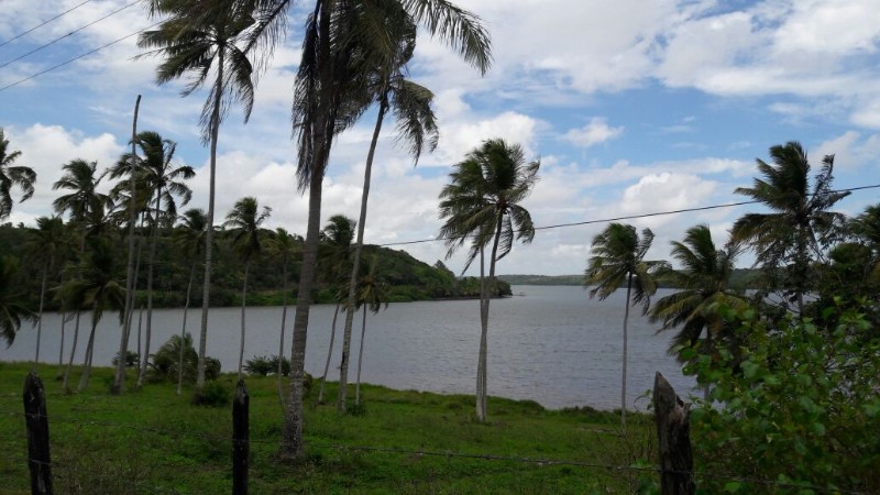 Pesca predatória extingue espécies e ameaça reserva extrativista marinha de AL