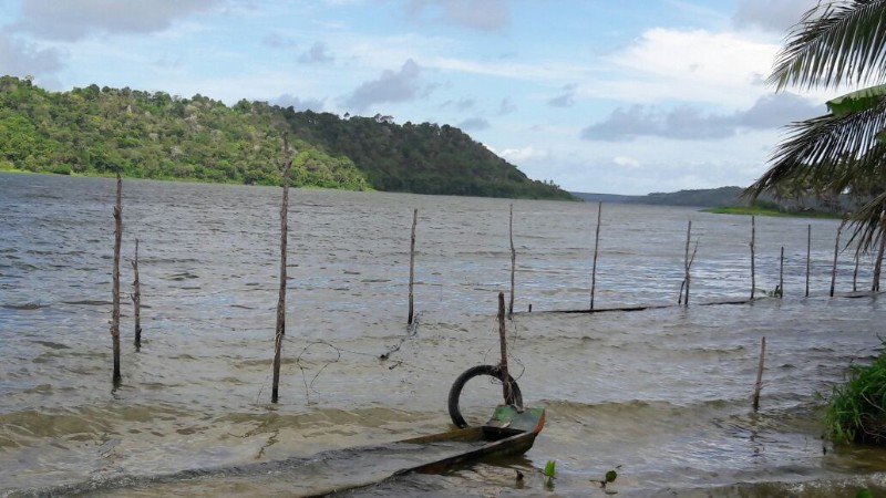 Pesca predatória extingue espécies e ameaça reserva extrativista marinha de AL