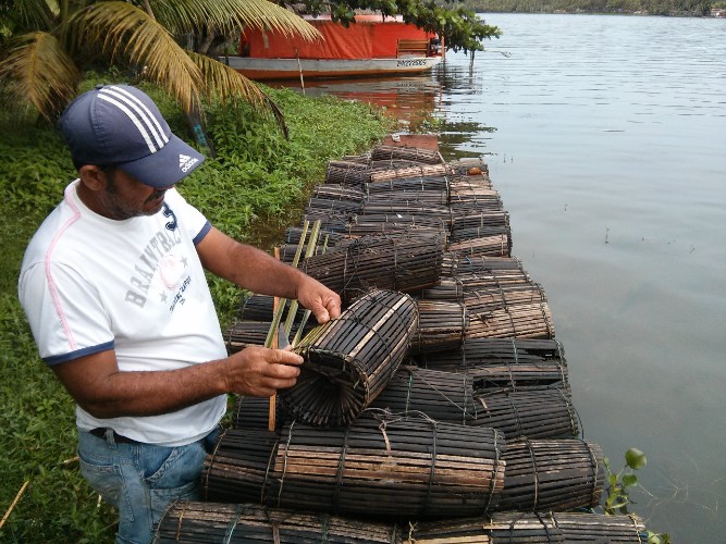 Pesca predatória extingue espécies e ameaça reserva extrativista marinha de AL