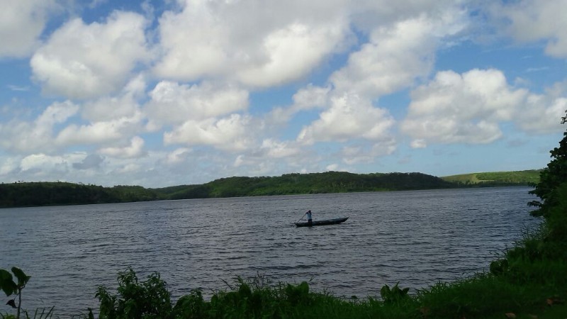 Pesca predatória extingue espécies e ameaça reserva extrativista marinha de AL