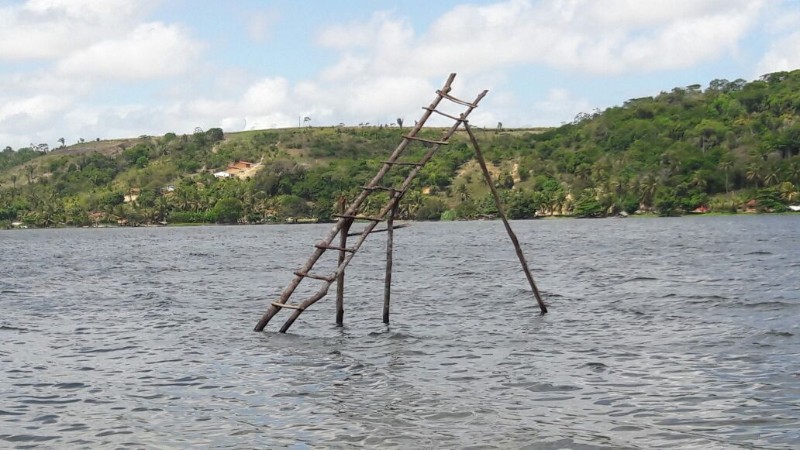 Pesca predatória extingue espécies e ameaça reserva extrativista marinha de AL