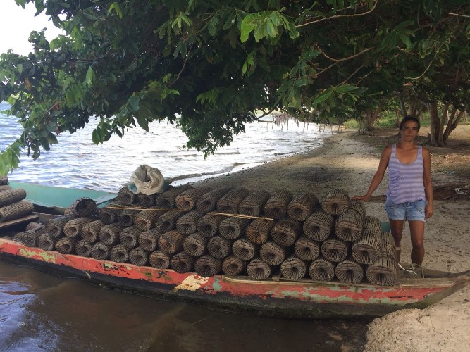 Pesca predatória extingue espécies e ameaça reserva extrativista marinha de AL