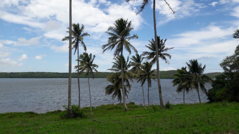 Pesca predatória extingue espécies e ameaça reserva extrativista marinha de AL
