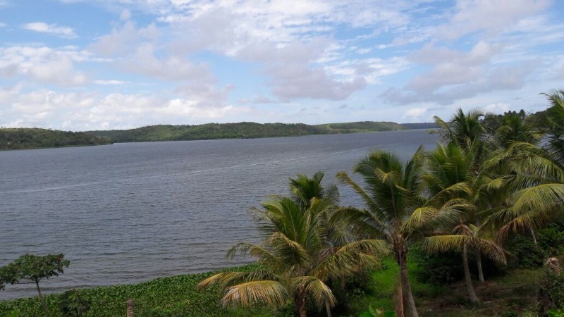 Pesca predatória extingue espécies e ameaça reserva extrativista marinha de AL