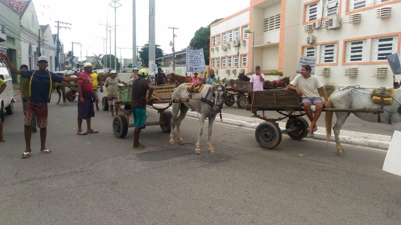 Cerca de 20 carroceiros pedem melhorias no saneamento básico e construção de baias