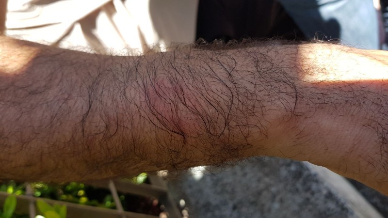 Eles seguiram em caminhada pelo Centro de Maceió