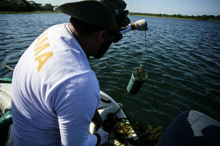 Combate à pesca predatória quer garantir sustento de pescadores