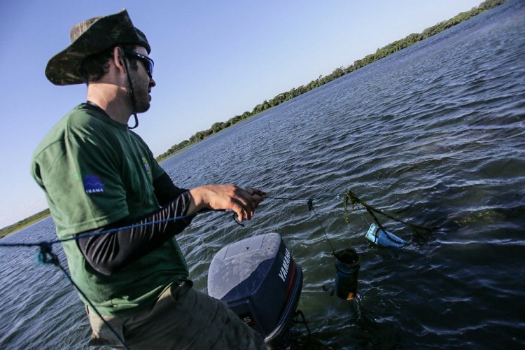 Combate à pesca predatória quer garantir sustento de pescadores
