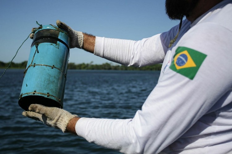 Combate à pesca predatória quer garantir sustento de pescadores