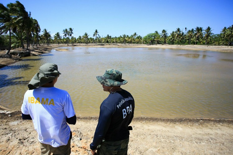 Combate à pesca predatória quer garantir sustento de pescadores