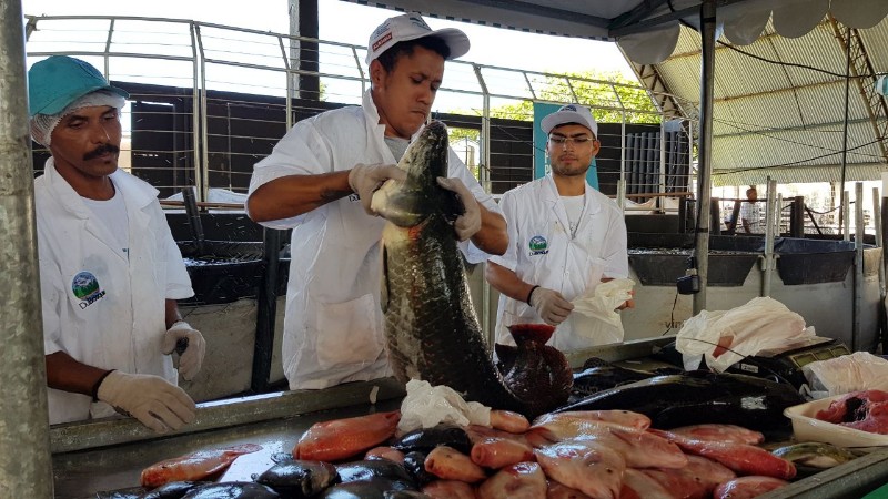 Feira do Peixe Vivo movimenta comércio na Semana Santa