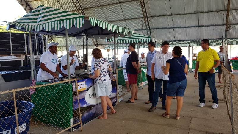 Feira do Peixe Vivo movimenta comércio na Semana Santa