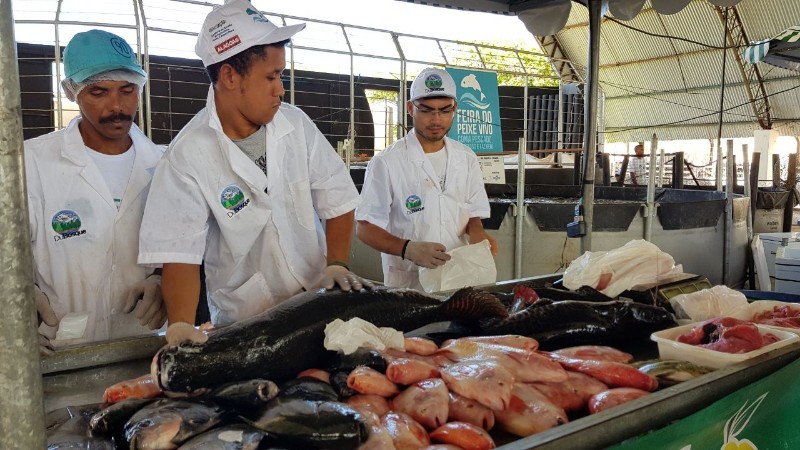 Feira do Peixe Vivo movimenta comércio na Semana Santa