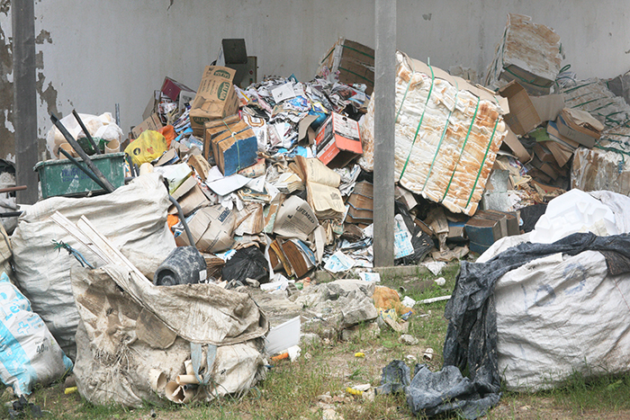 Dia a dia dos catadores de material reciclável
