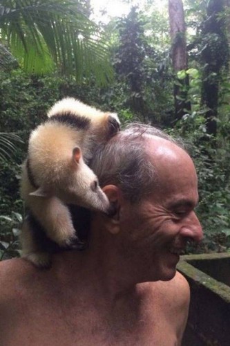 Ney sobre em árvores para ajudar animal 