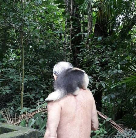 Ney sobre em árvores para ajudar animal 