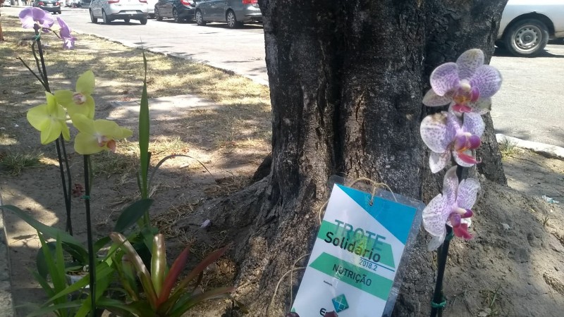 Ação em parceria com faculdade de Maceió aconteceu na manhã desta quarta-feira
