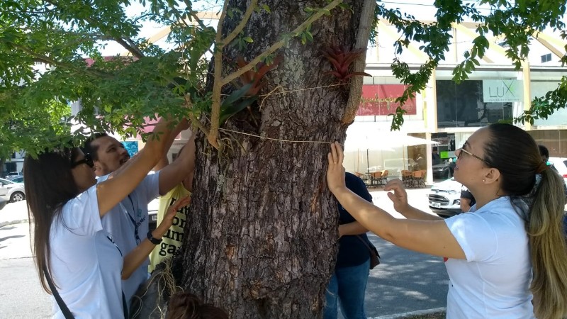 Ação em parceria com faculdade de Maceió aconteceu na manhã desta quarta-feira
