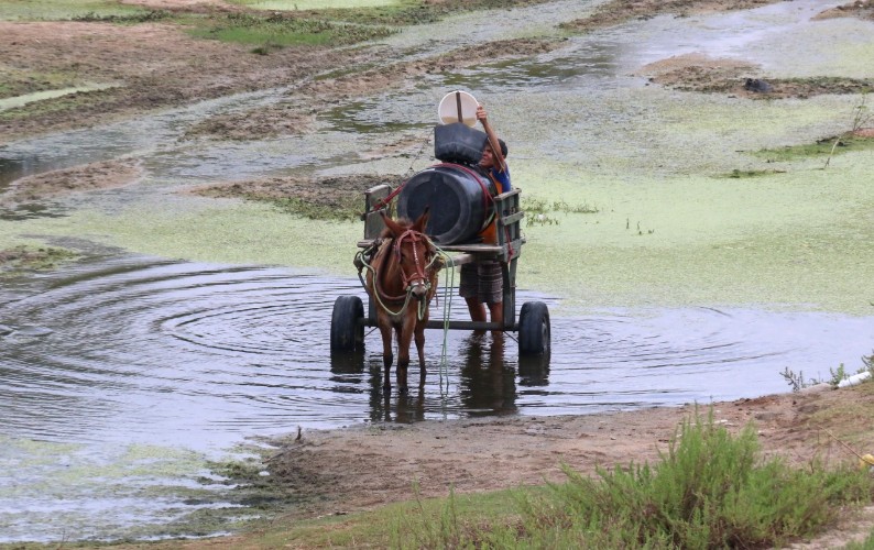 Êxodo aumenta e 'viúvas da seca' tentam sobreviver em meio à escassez