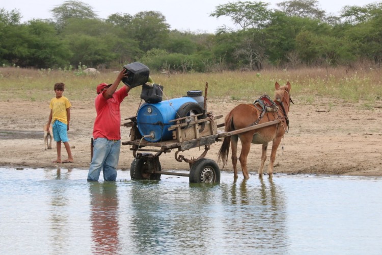 Êxodo aumenta e 'viúvas da seca' tentam sobreviver em meio à escassez