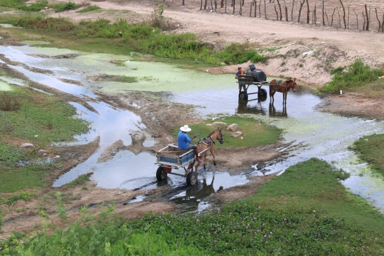 Êxodo aumenta e 'viúvas da seca' tentam sobreviver em meio à escassez