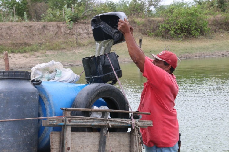 Êxodo aumenta e 'viúvas da seca' tentam sobreviver em meio à escassez