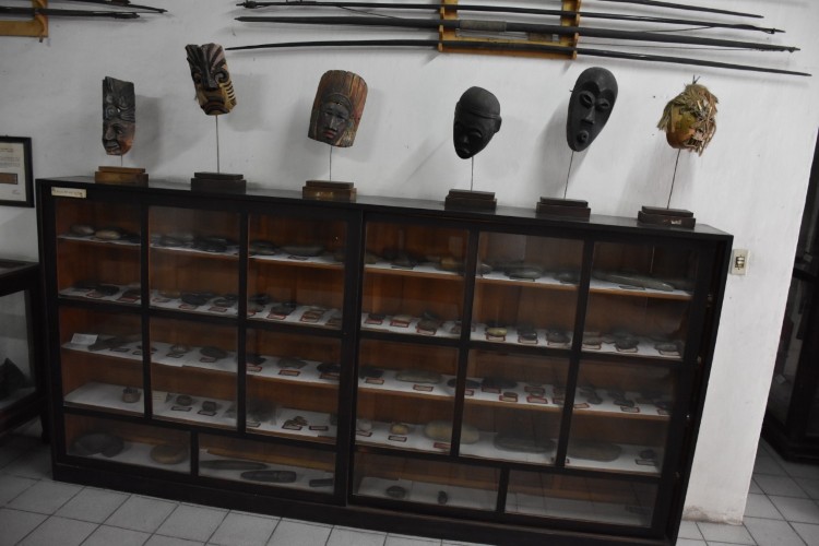 Parte do acervo do intituto