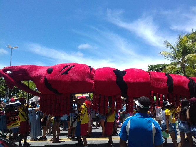 Desfile do Pinto da Madrugada - 23.02.2019