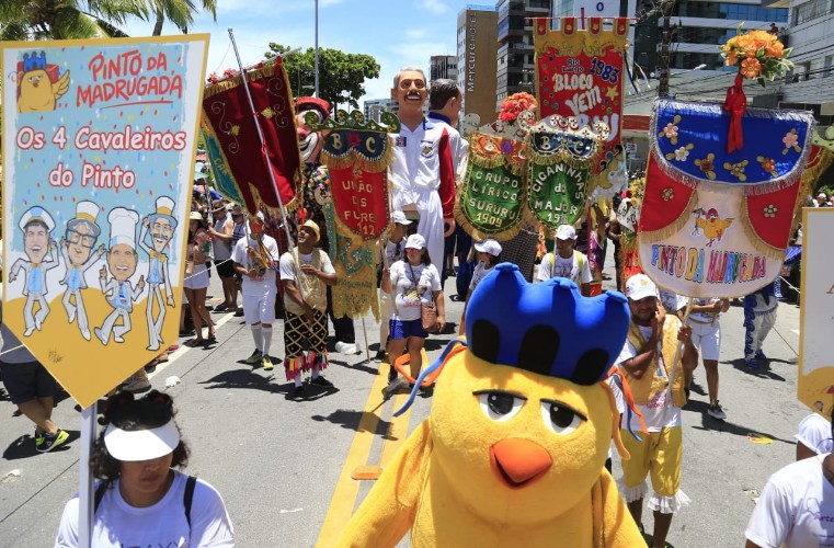 Desfile do Pinto da Madrugada - 23.02.2019