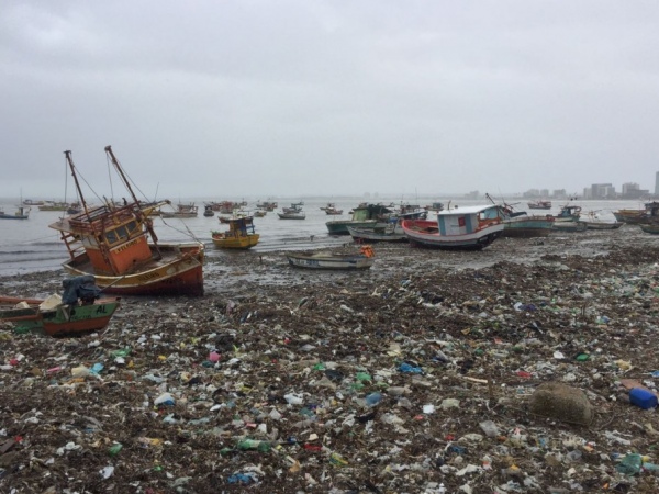 Mais de 8 toneladas de lixo são retirados de mares e lagoas de Maceió em 1 ano