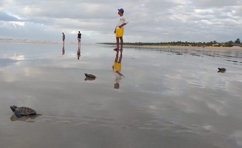 Mais de 8 toneladas de lixo são retirados de mares e lagoas de Maceió em 1 ano