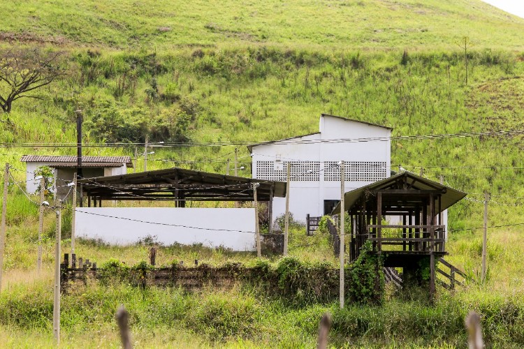 Projeto milionário para regionalização do abate fica no papel
