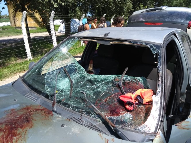 Colisão frontal deixa motociclista gravemente ferido na AL-401