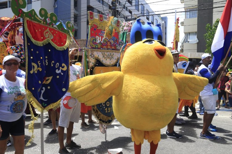Pinto da Madrugada arrasta milhares de foliões nas prévias carnavalescas