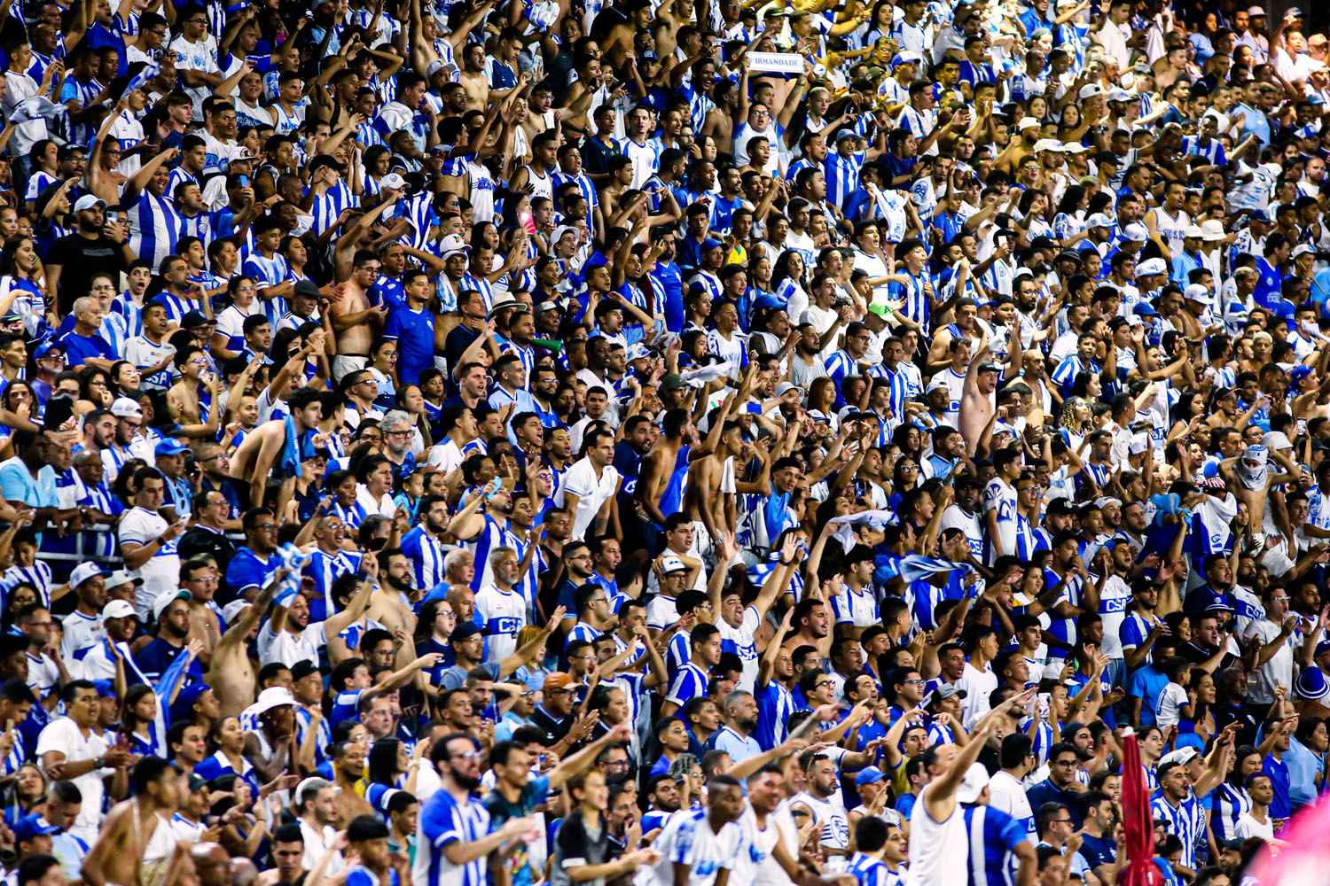 Marcelo Cabo destacou a presença da torcida azulina no jogo desse domingo