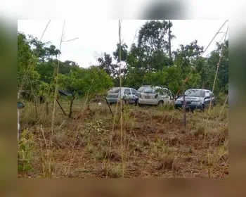 Cerca de 30 famílias de grileiros invadem fazenda em Mato Grosso
