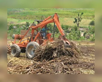 Corte de incentivos prejudica competição na indústria da cana, diz Sindaçúcar